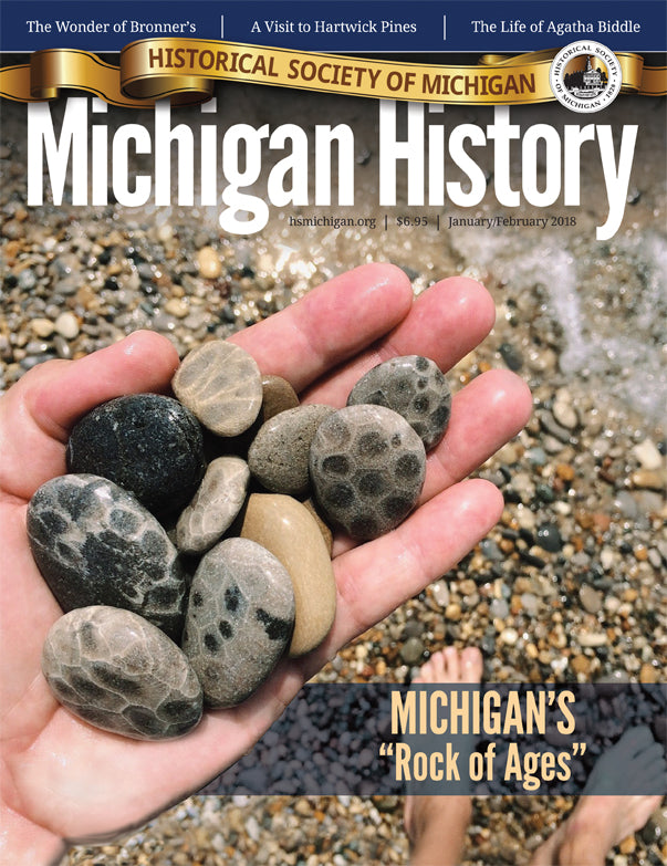 Michigan History Issues: 2016-2018