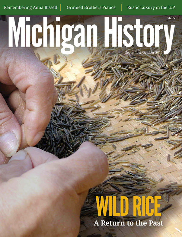 Michigan History Issues: 2016-2018